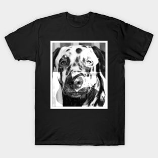 dalmatian dog face T-Shirt